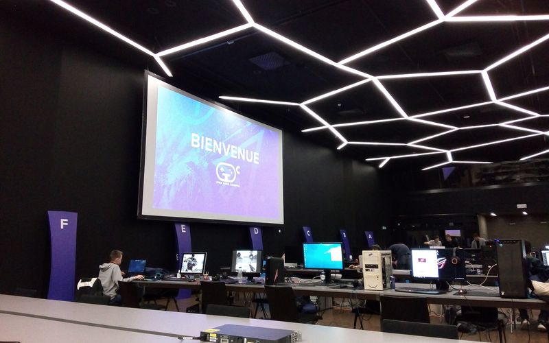 公告阅读